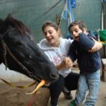 mondify_Canine_and_Equine_Therapy_001