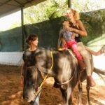 mondify_Canine_and_Equine_Therapy_002